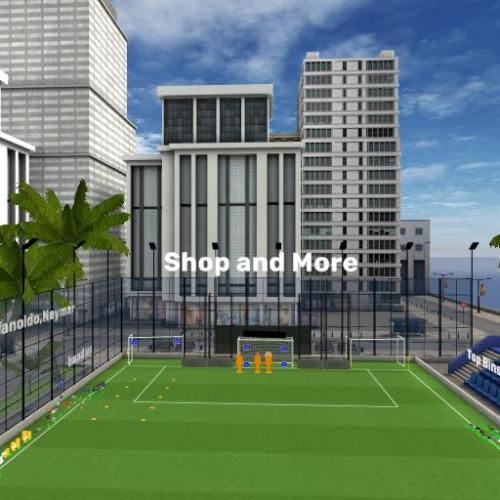 Arena Image