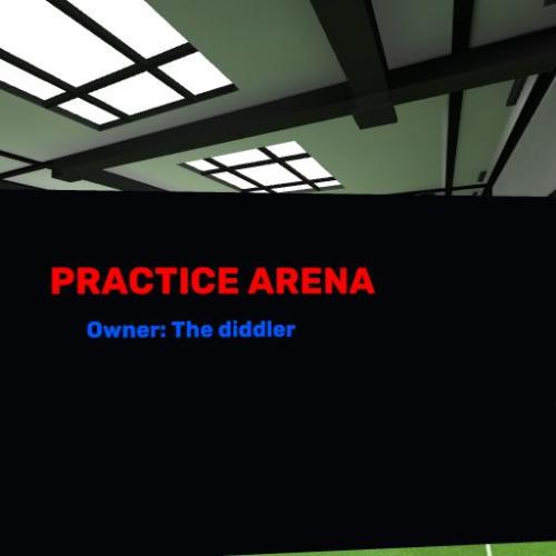 Arena Image