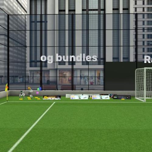 Arena Image