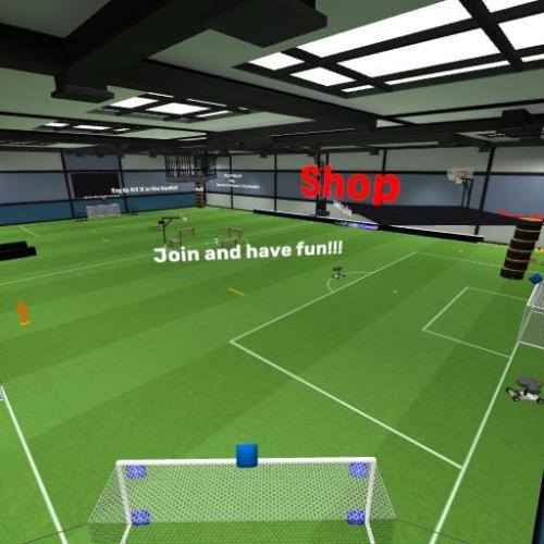 Arena Image