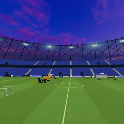 Arena Image