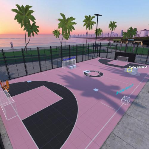 Arena Image