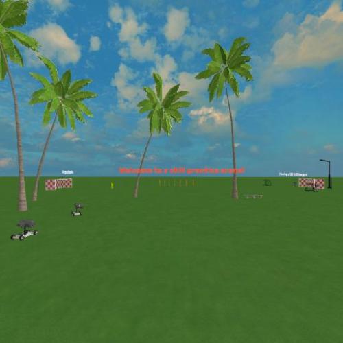 Arena Image