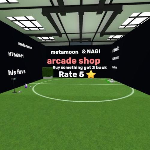 Arena Image