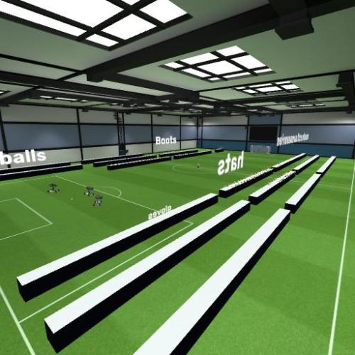 Arena Image