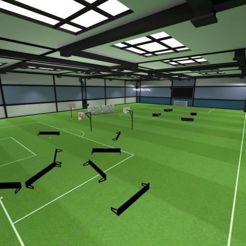 Arena Image
