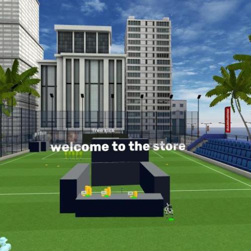 Arena Image