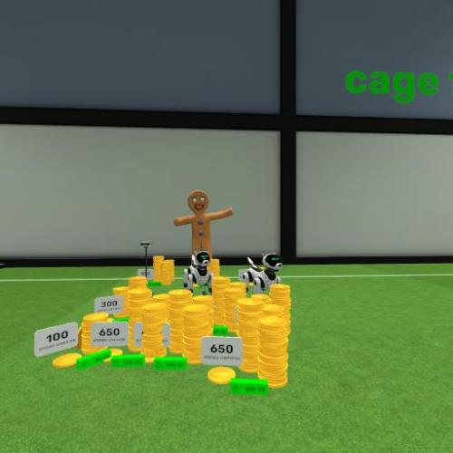 Arena Image