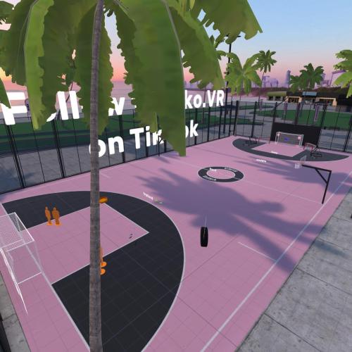 Arena Image