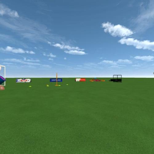 Arena Image