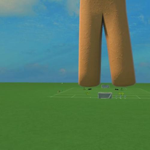Arena Image