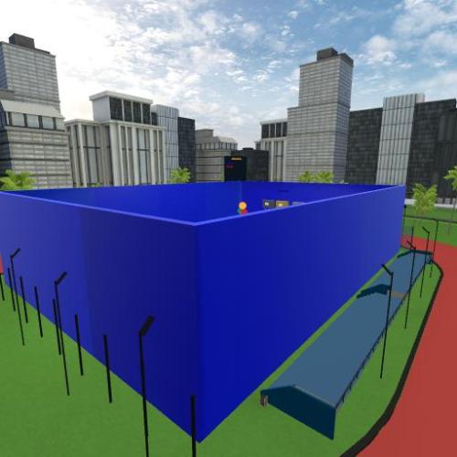Arena Image