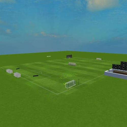 Arena Image