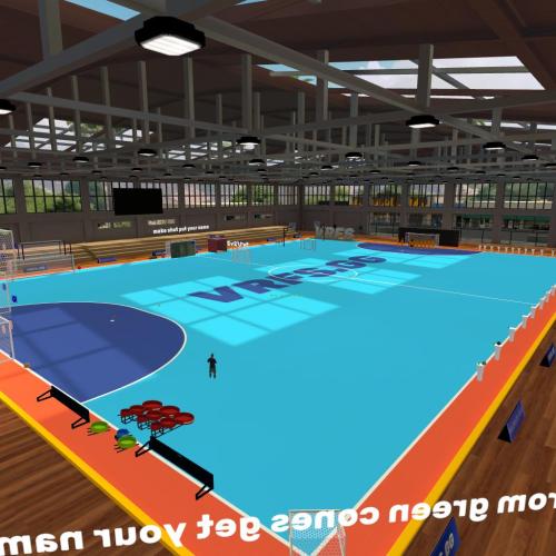 Arena Image