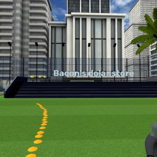 Arena Image