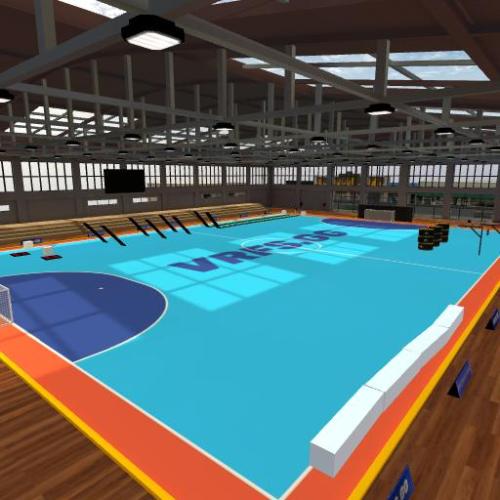 Arena Image