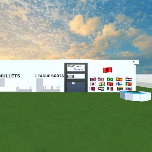 Arena Image