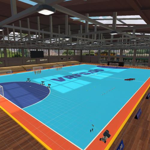 Arena Image