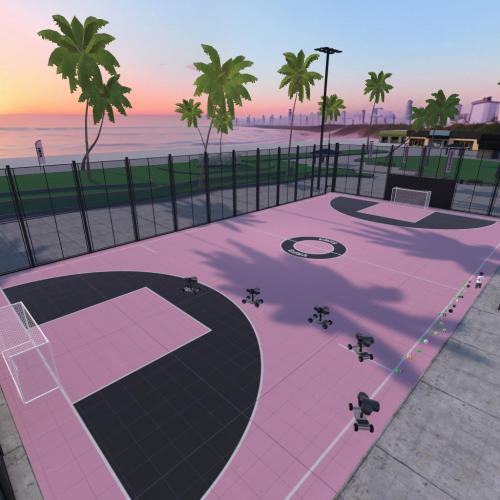 Arena Image