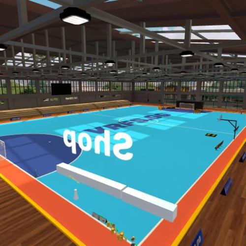 Arena Image