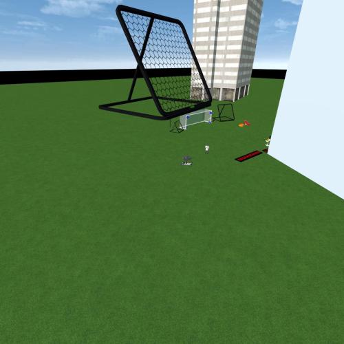 Arena Image