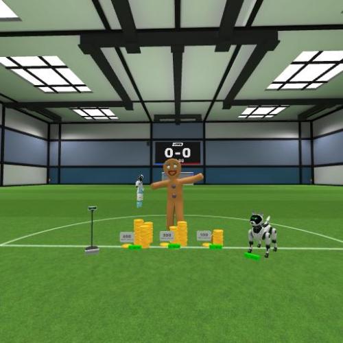 Arena Image