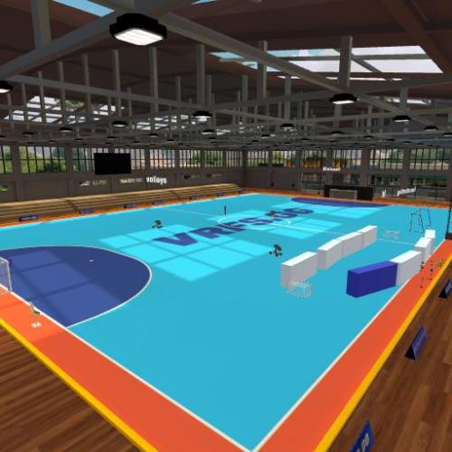 Arena Image