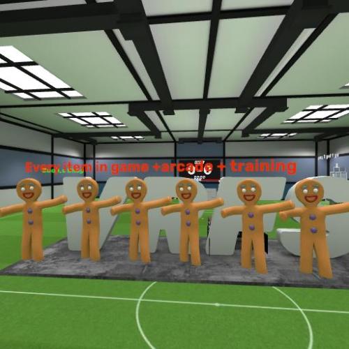 Arena Image