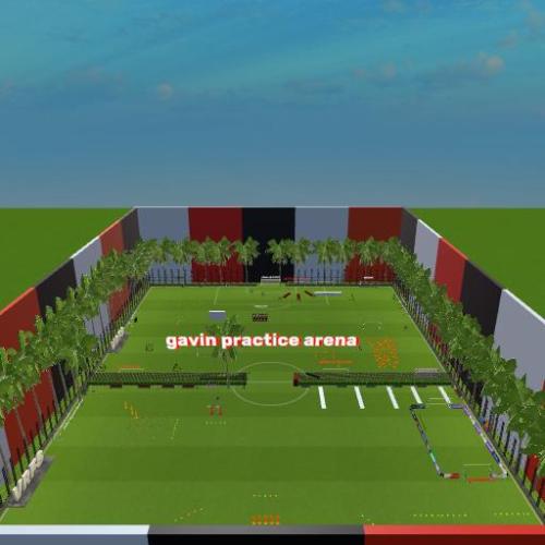 Arena Image