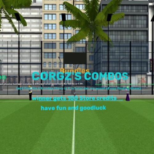 Arena Image