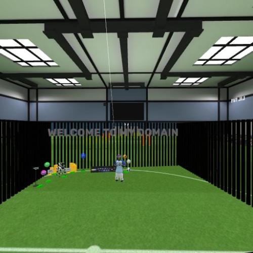 Arena Image