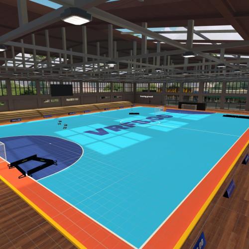 Arena Image