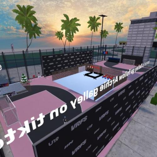 Arena Image