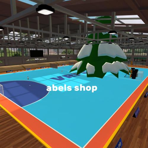 Arena Image