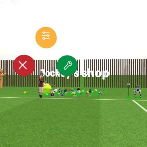 Arena Image