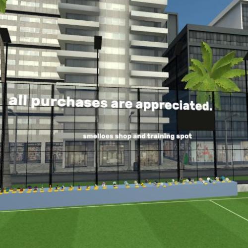 Arena Image