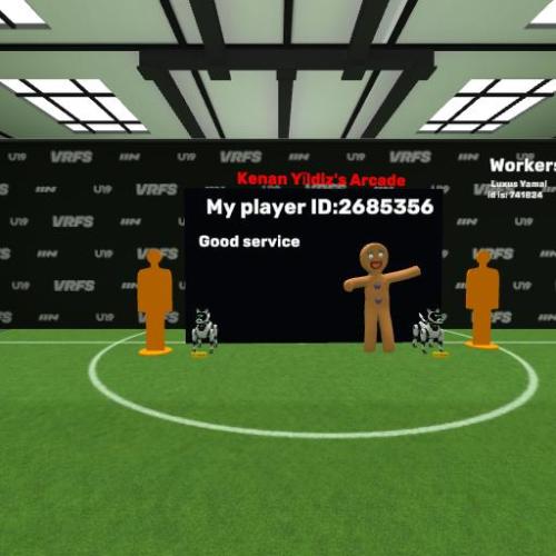 Arena Image
