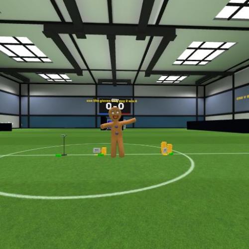 Arena Image