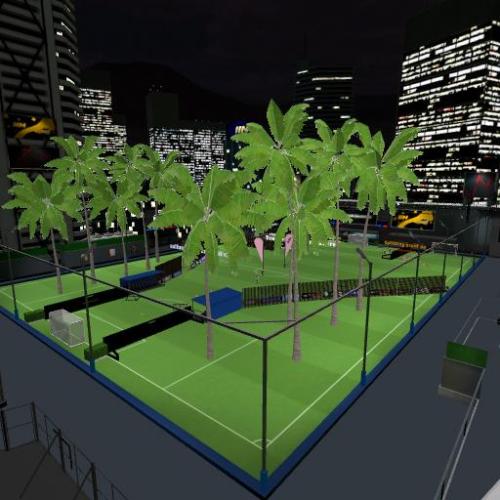 Arena Image