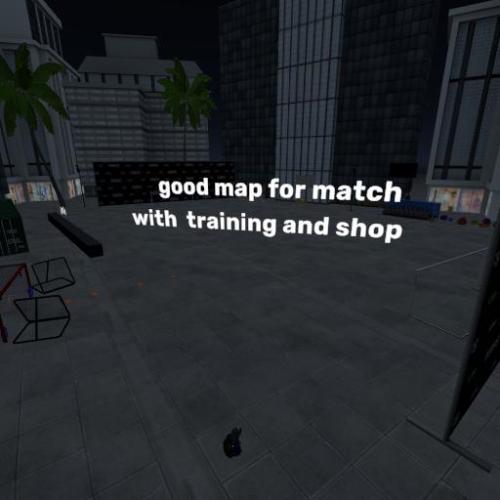 Arena Image
