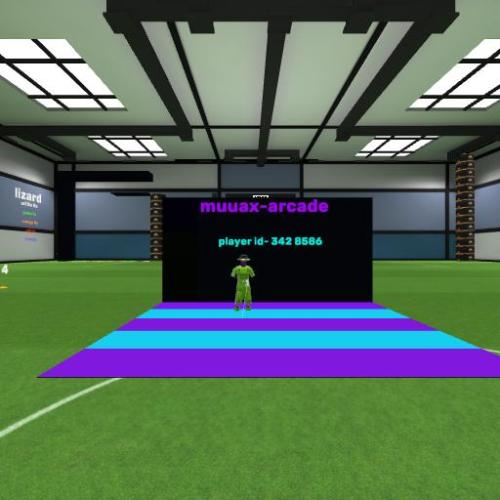 Arena Image