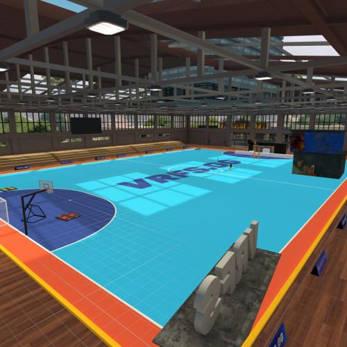 Arena Image