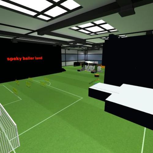 Arena Image