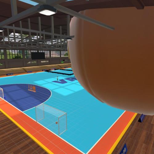 Arena Image