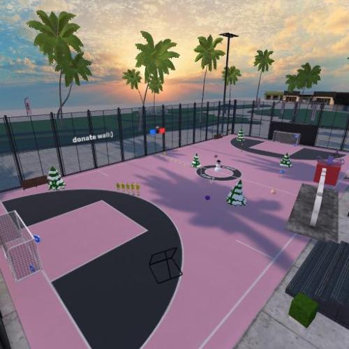Arena Image