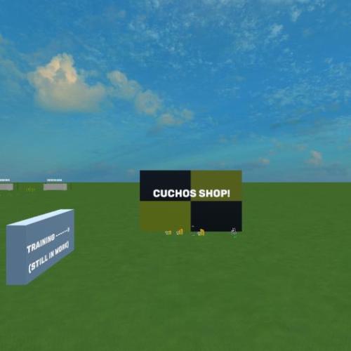 Arena Image