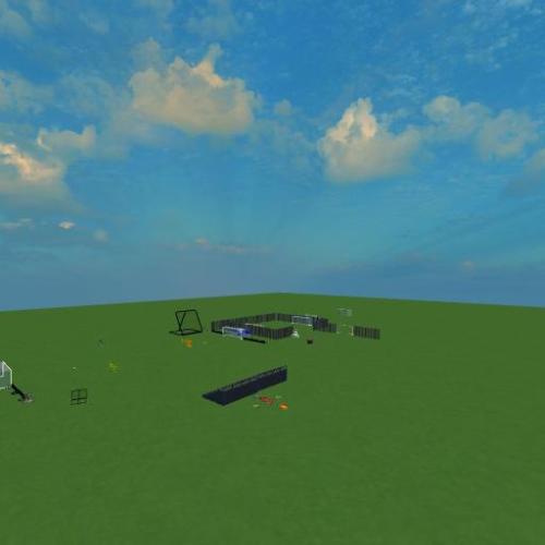 Arena Image