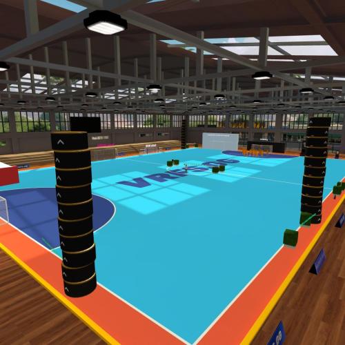 Arena Image