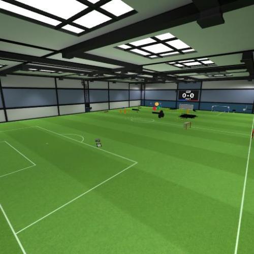 Arena Image