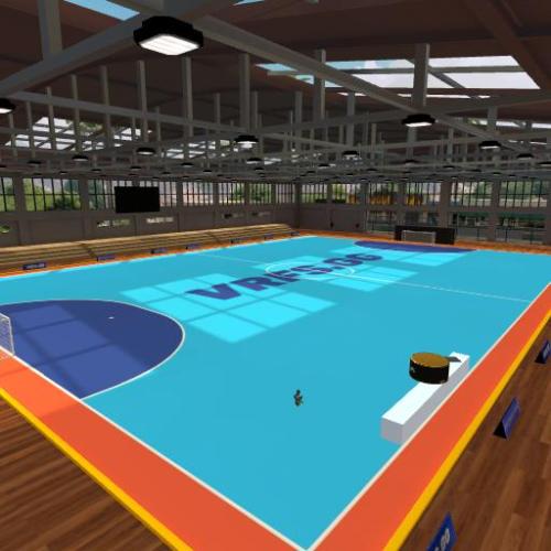 Arena Image
